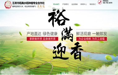 五常稻典水稻种植专业合作社