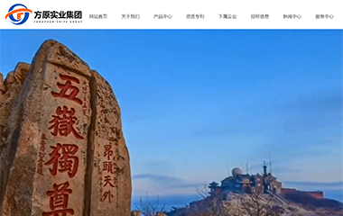 山东方原实业集团